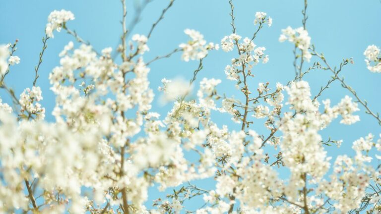 テスト5 一覧ページでの長文タイトルレイアウト確認用投稿