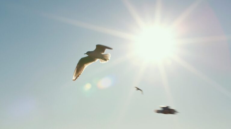 テスト3ダミータイトル表示ダミータイトル