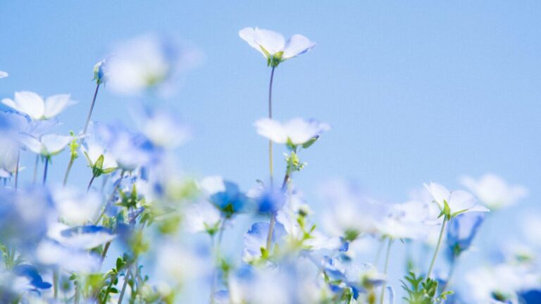 テスト1 長文タイトル表示のダミー